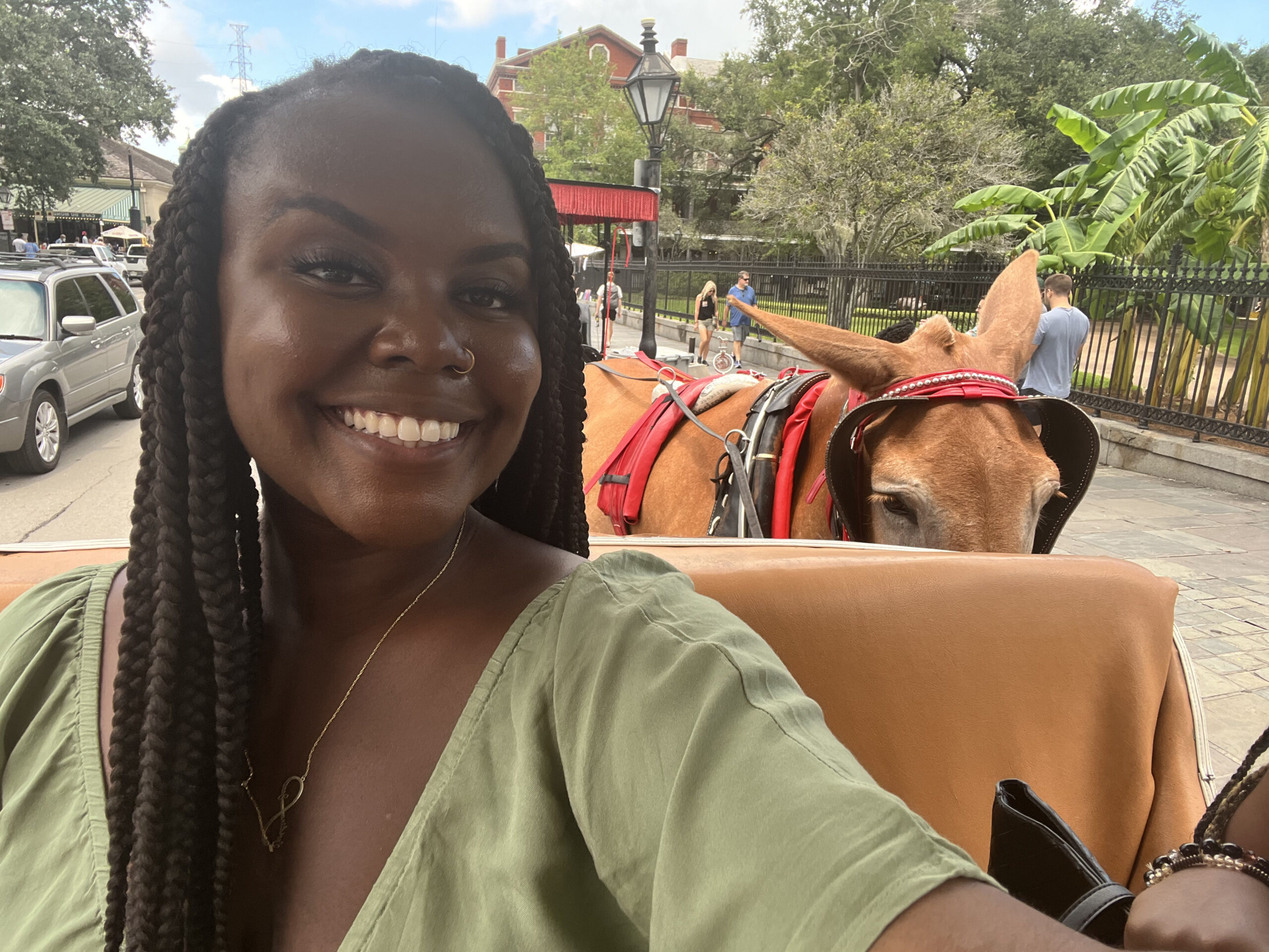 Christina Jane taking a selfie with the horse while on the carriage. 