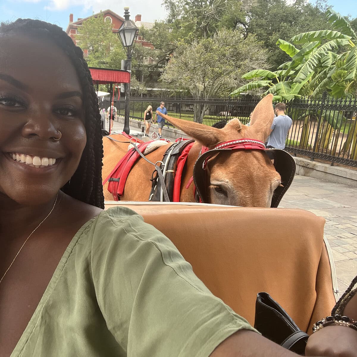 Christina Jane taking a selfie with the horse while on the carriage. 