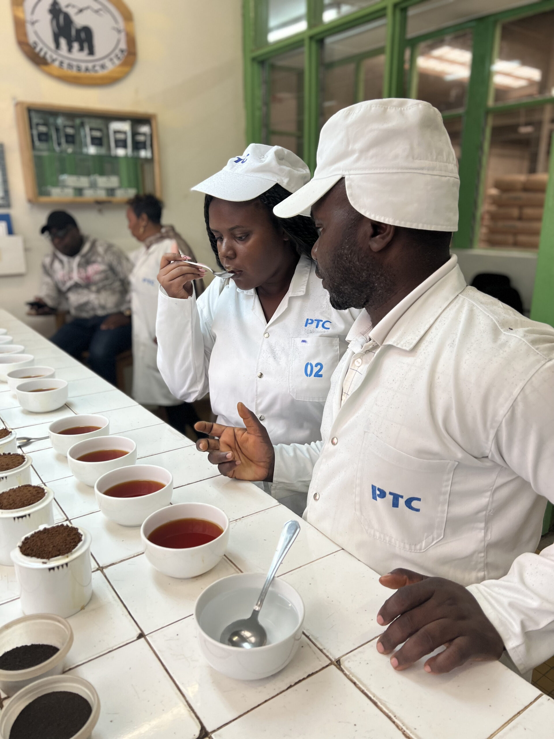 Tea Tasting Rwanda 