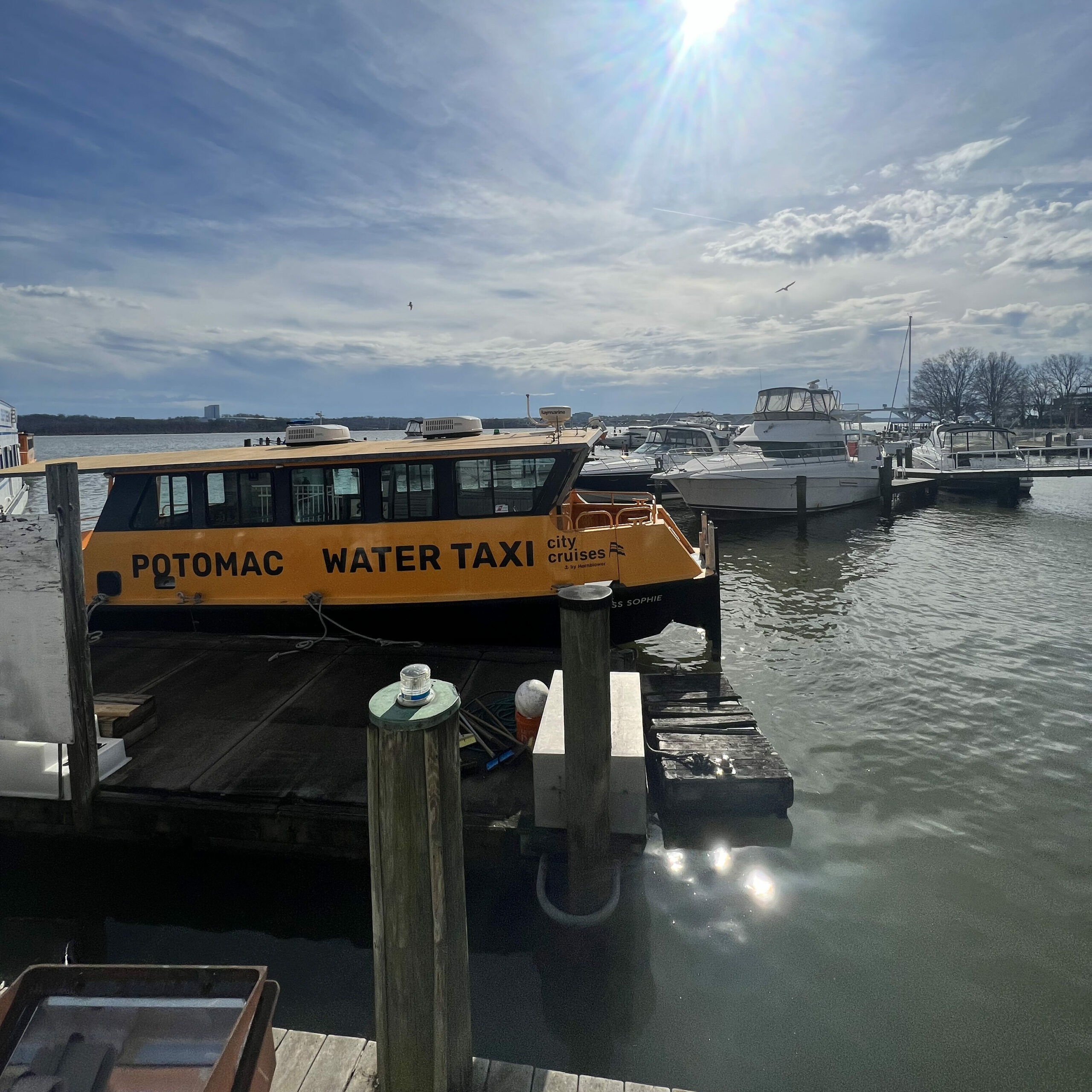 Alexandria Waterfront 