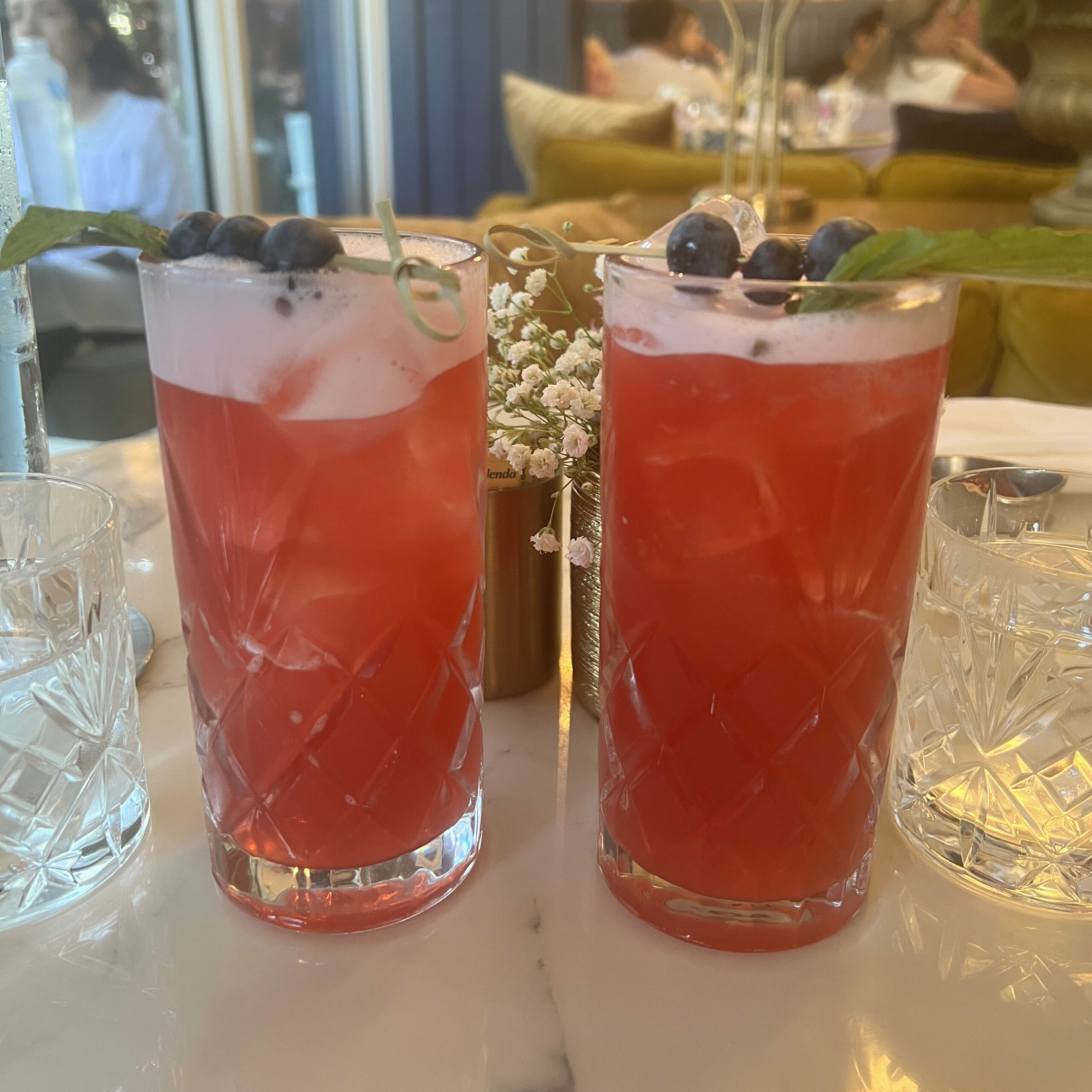 Hibiscus Raspberry Mocktails 