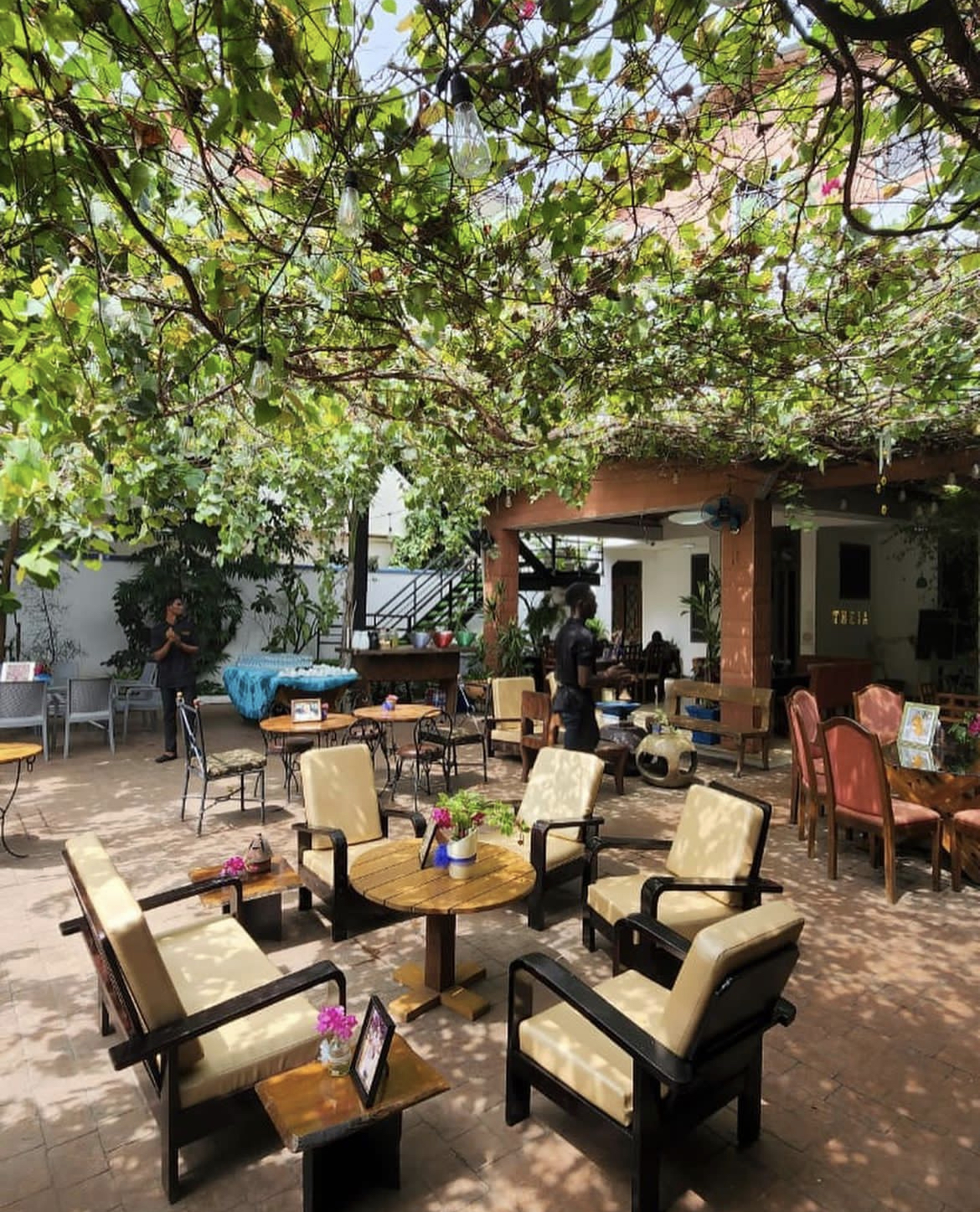 Outdoor area of Theia Coffee House 