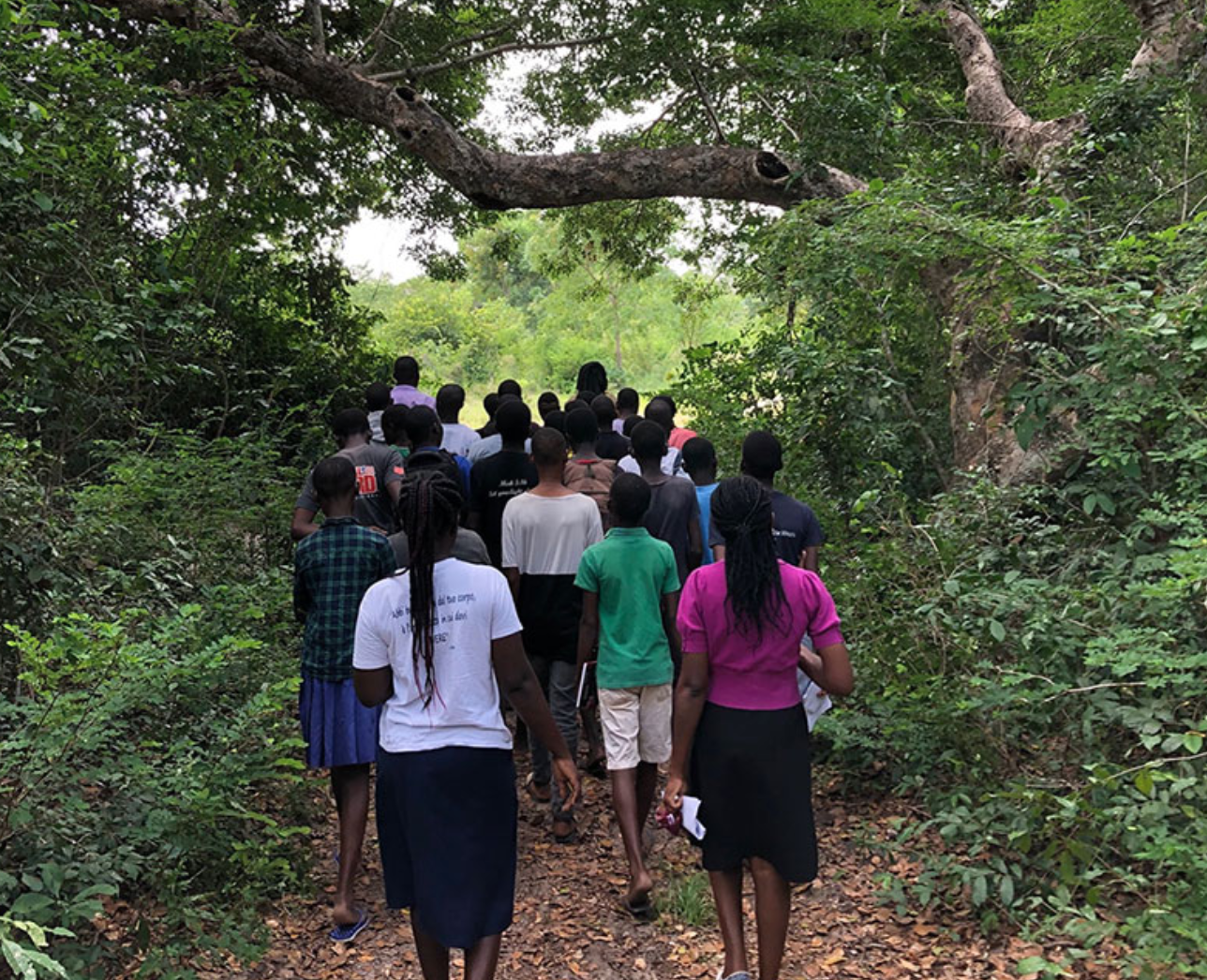 Forest guided tour