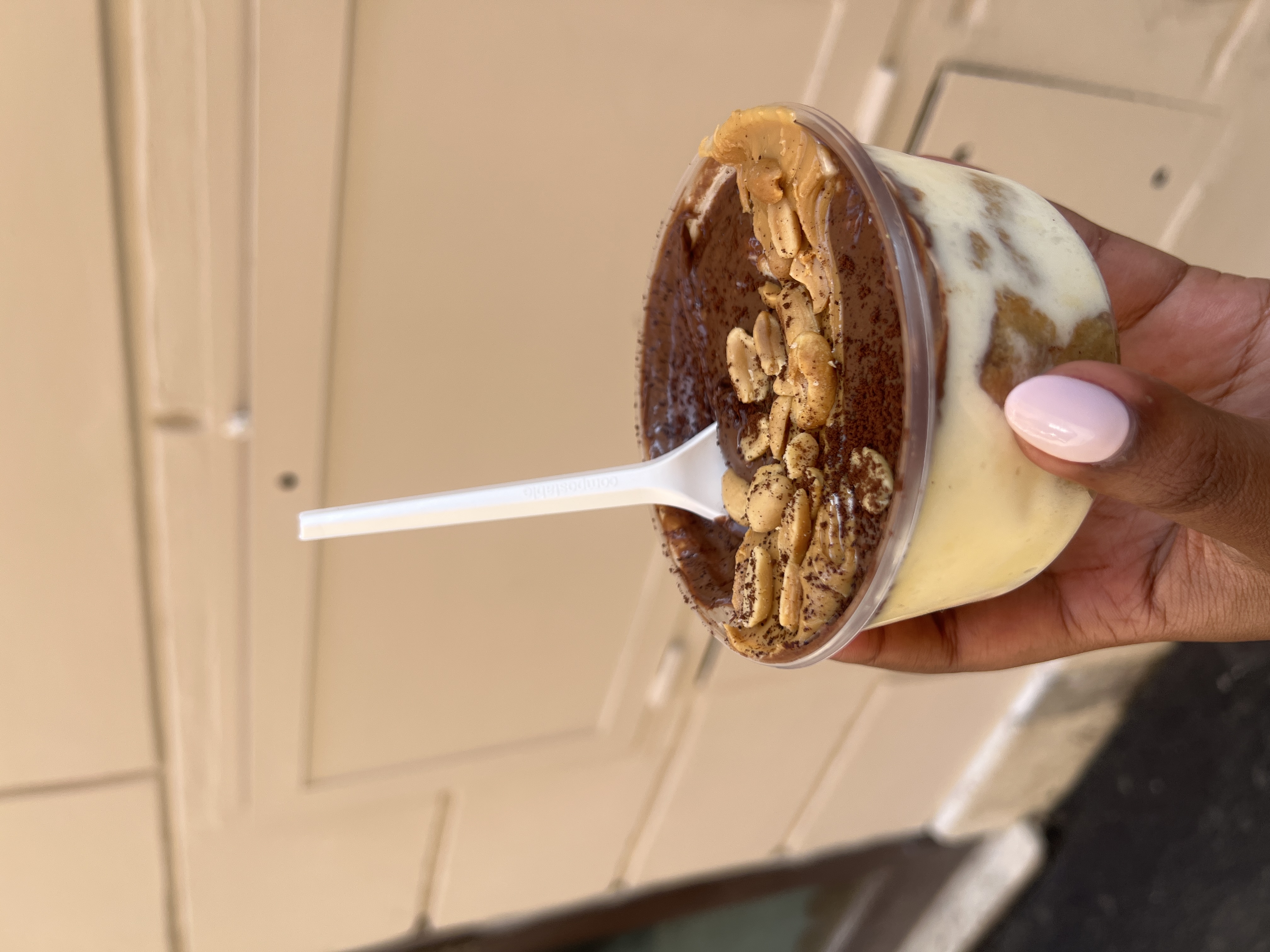 Tiramisu Cup