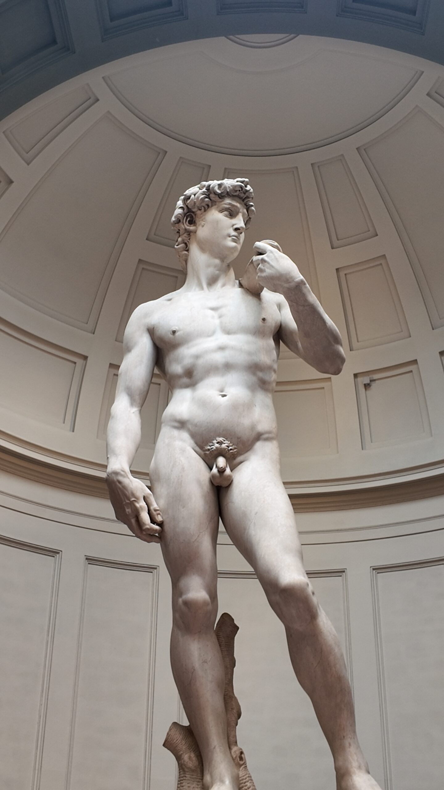 The David