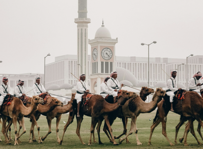 Camel Parade in Qatar