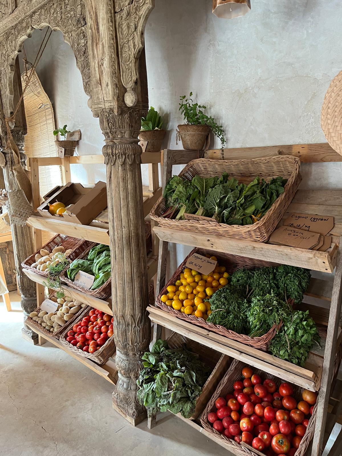 Vegetables at the farm 