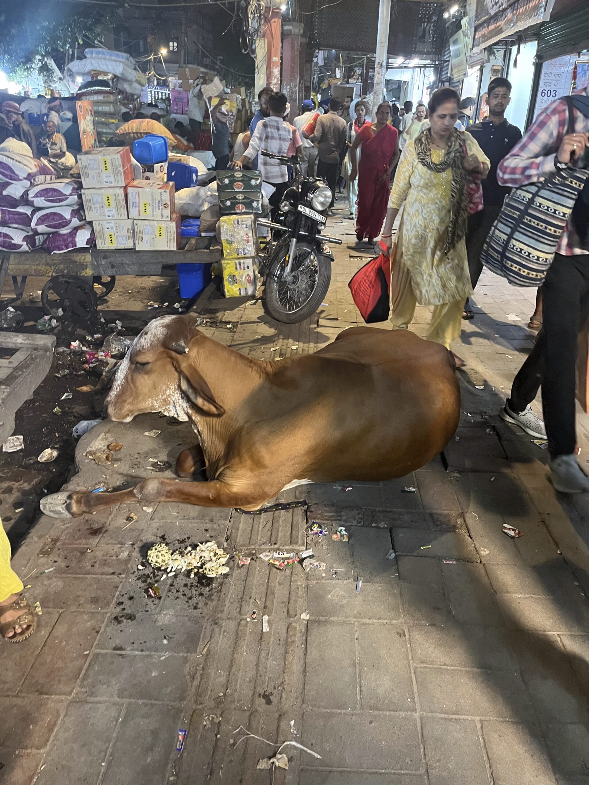 Cow in Delhi market 
