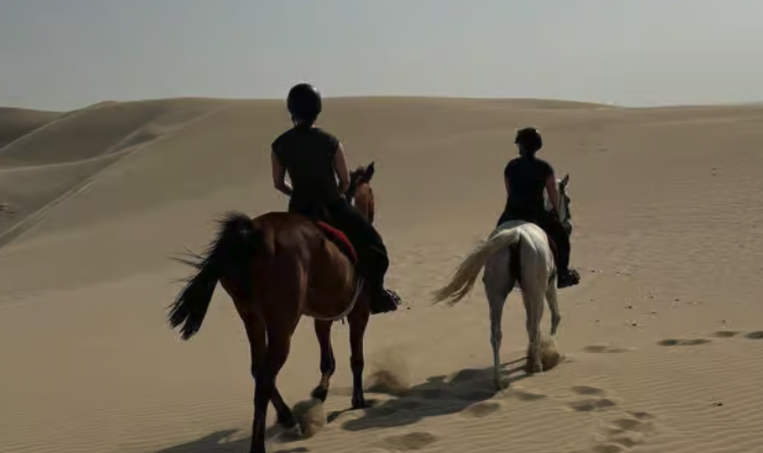 Horseback riding in Qatar