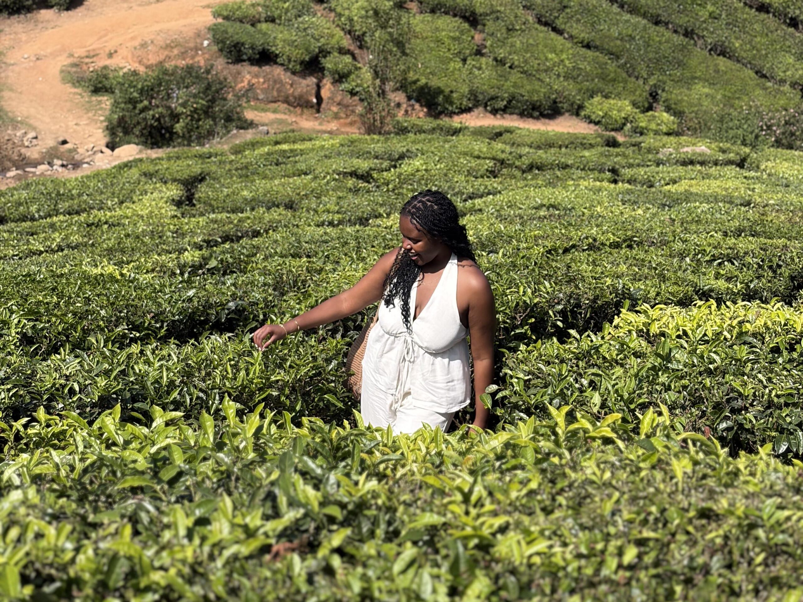 Christina Jane at the tea plantations in Munnar.